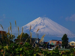 富士山